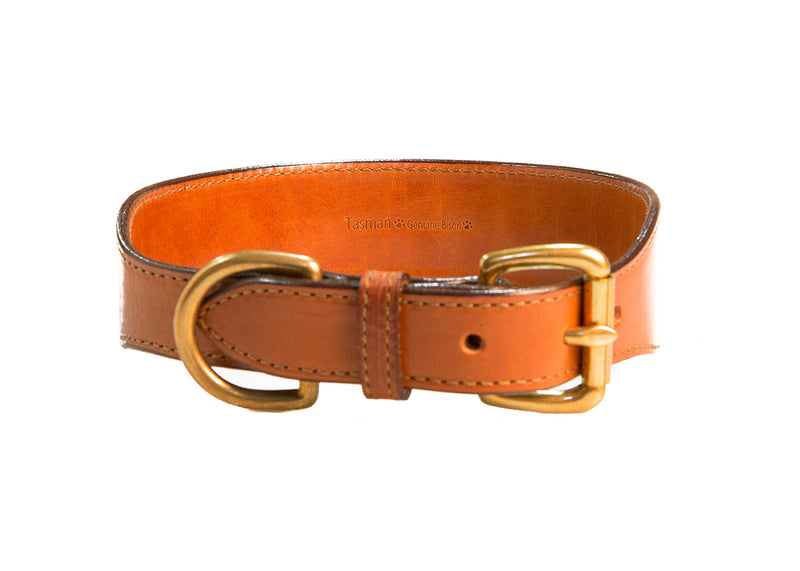 Bison Leather Tapered Collar Front