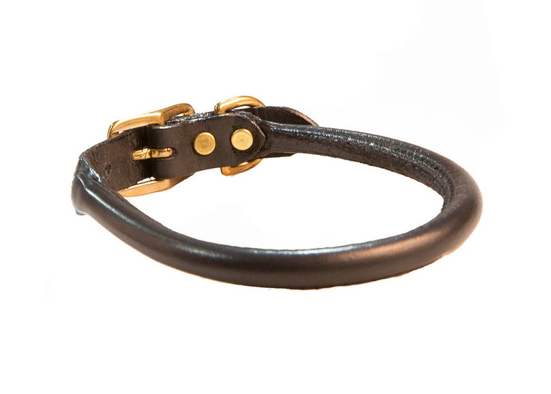 Rolled Collar Back Black