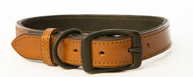 Bison & Elk Leather Dog Collar