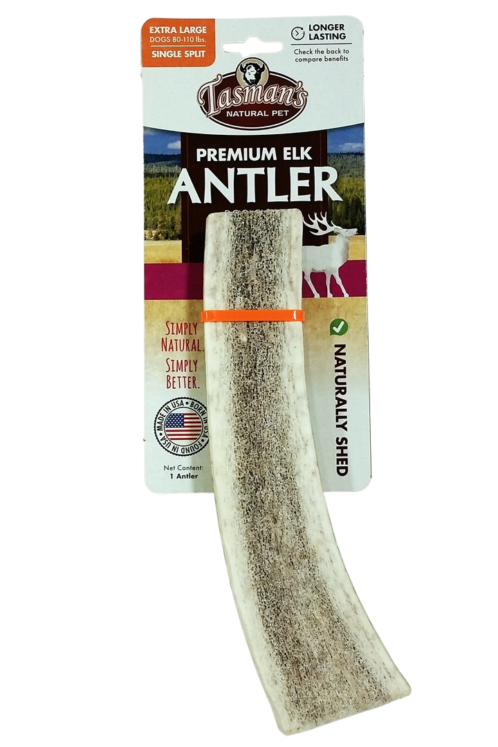 Grade A Elk Antler - Single Split