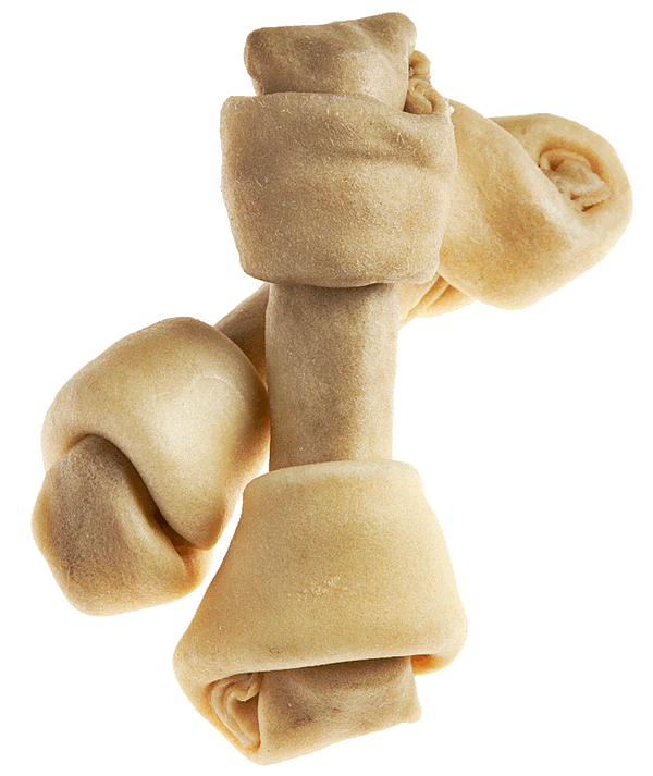 Bison Bones - Multiple Sizes