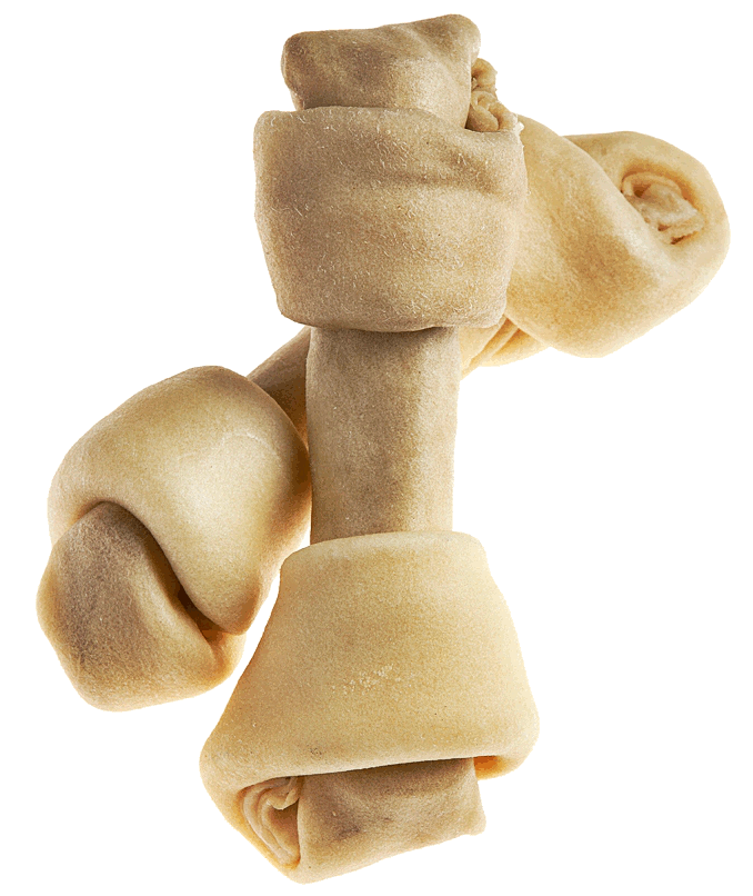 Bison Bones - Multiple Sizes