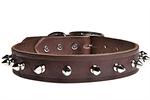 Latigo Bison Leather Spiked Collars Made in USA| Color| Brown;Size| 1" x 20"