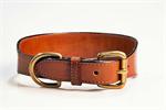 Bridle Tanned Bison Leather Tapered Collar| Size| 1.75x22"