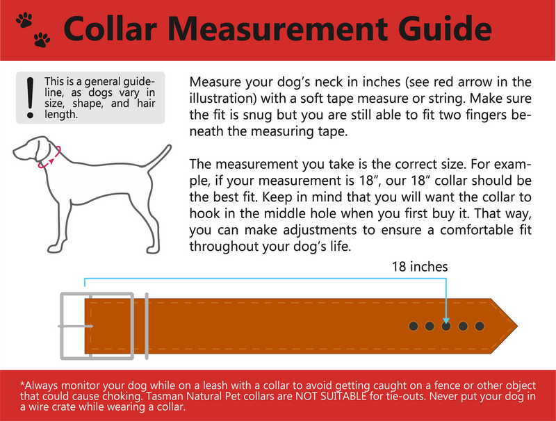Tasman Collar Measurement Guide