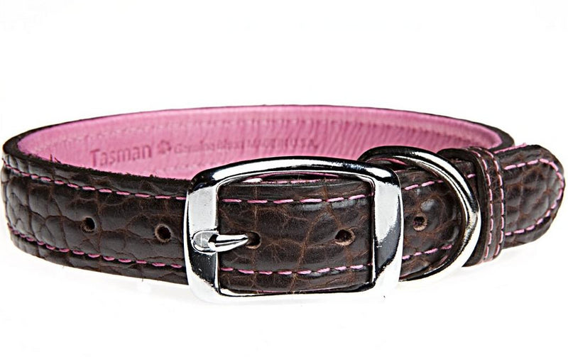 Tucson Bison and Elk Leather Dog Collar Chocolate/Hot Pink