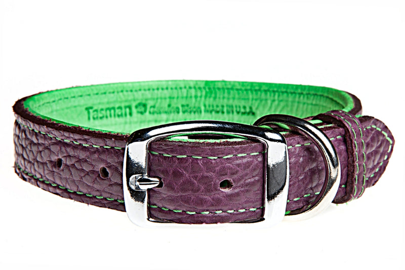 Tucson Bison and Elk Leather Dog Collar Purple/Lime