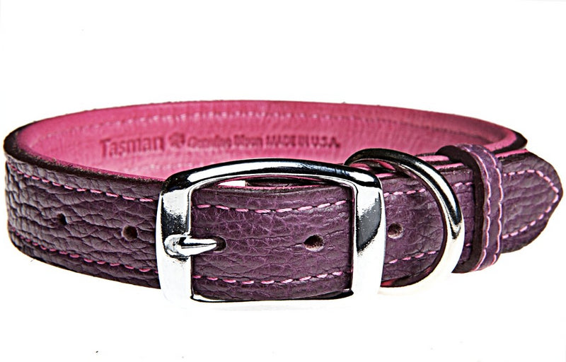 Tucson Bison and Elk Leather Dog Collar Purple/Hot Pink