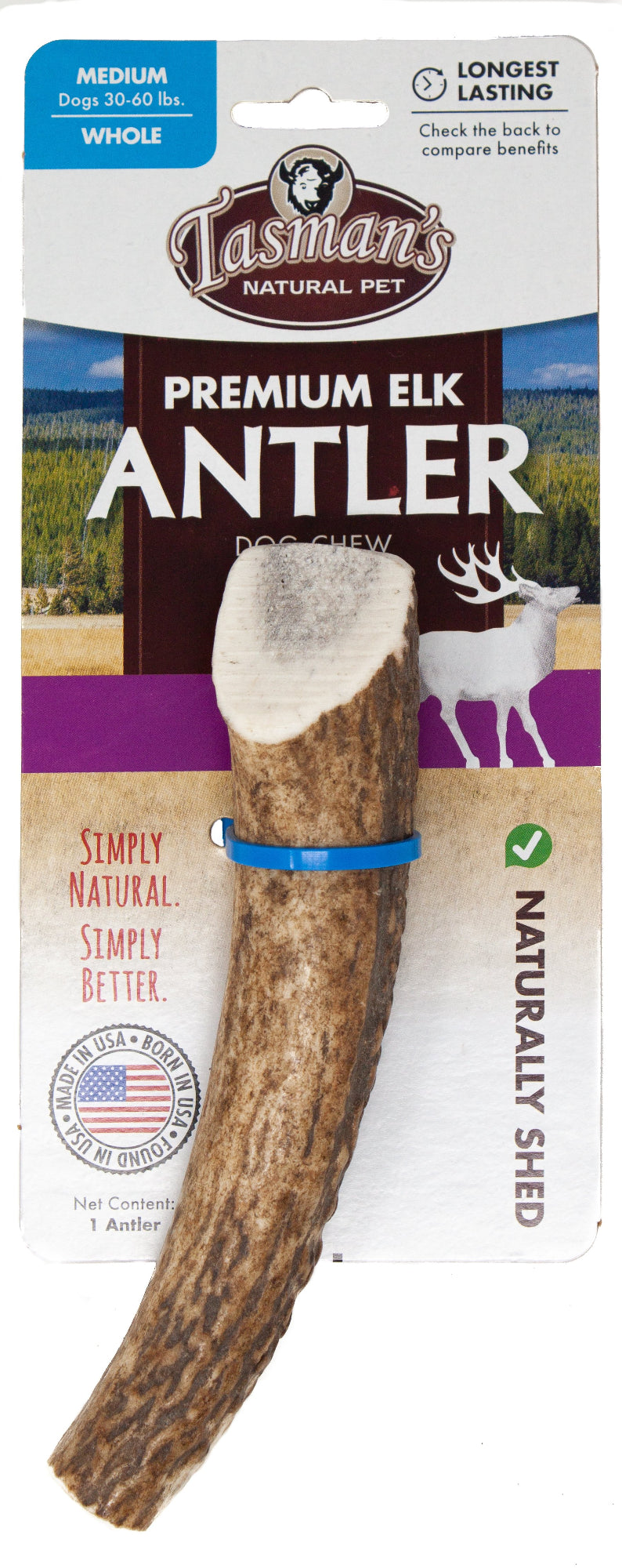 Medium Whole Grade A Elk Antler