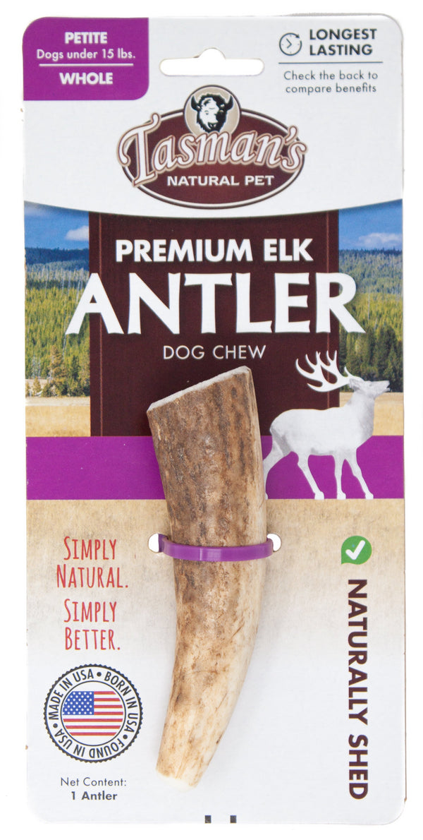 Petite Whole Grade A Elk Antler