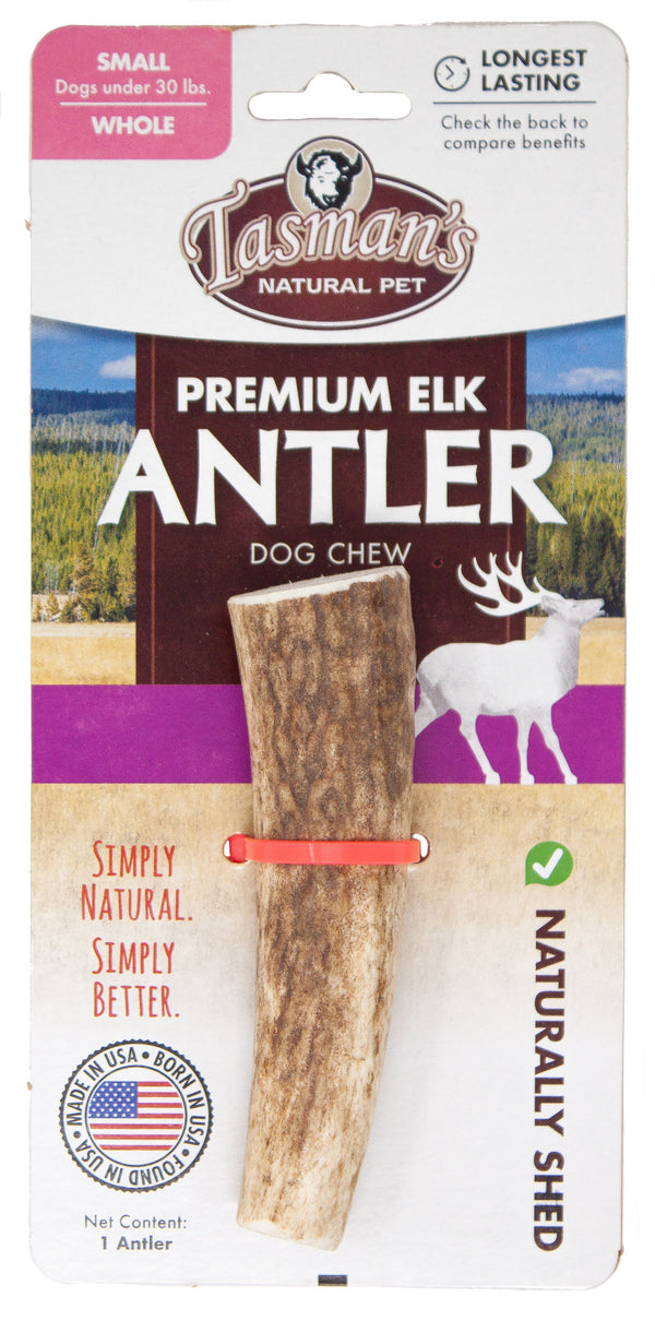Small Whole Grade A Elk Antler