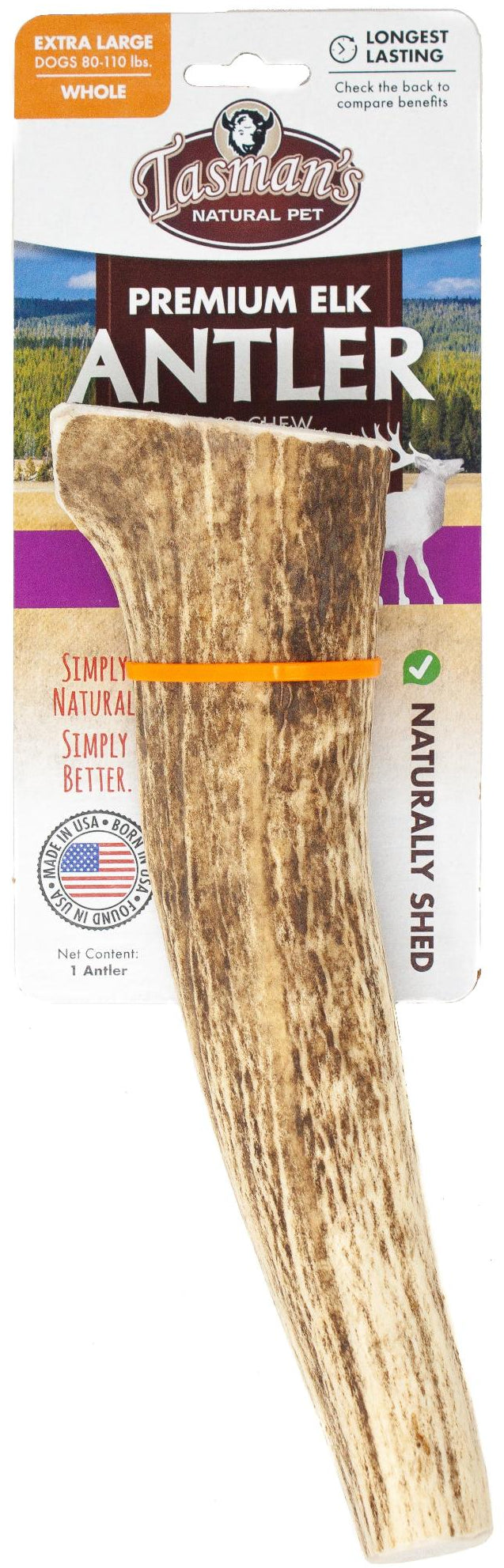 Extra Large Whole Grade A Elk Antler